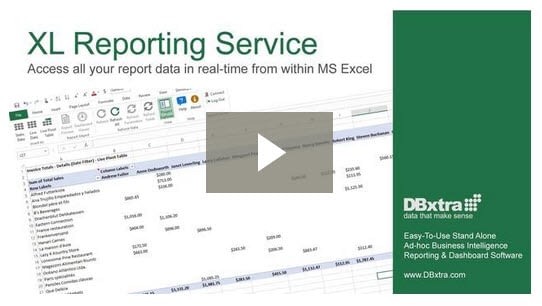 XL Reporting Service Video